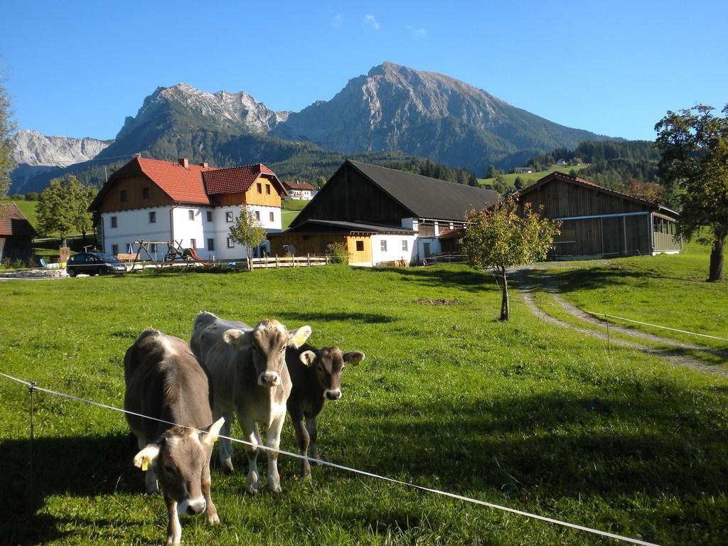 Bio-Urlaubshof Dansbach Villa Spital Am Pyhrn Eksteriør billede