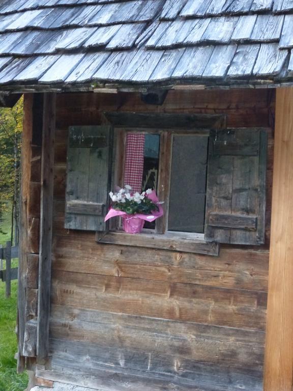 Bio-Urlaubshof Dansbach Villa Spital Am Pyhrn Eksteriør billede